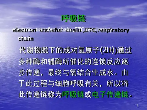 呼吸链医学课件