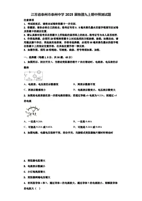 江苏省泰州市泰州中学2025届物理九上期中预测试题含解析