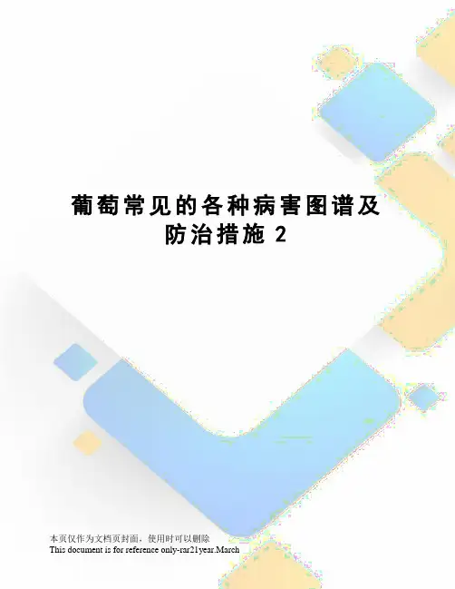 葡萄常见的各种病害图谱及防治措施2