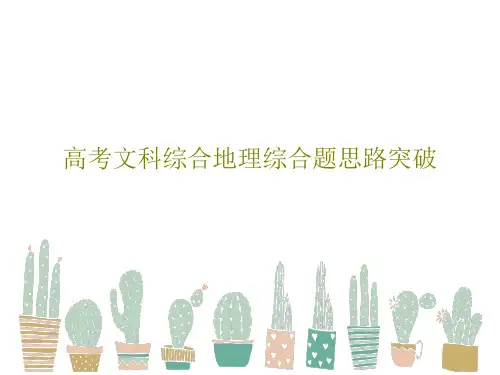 高考文科综合地理综合题思路突破29页PPT