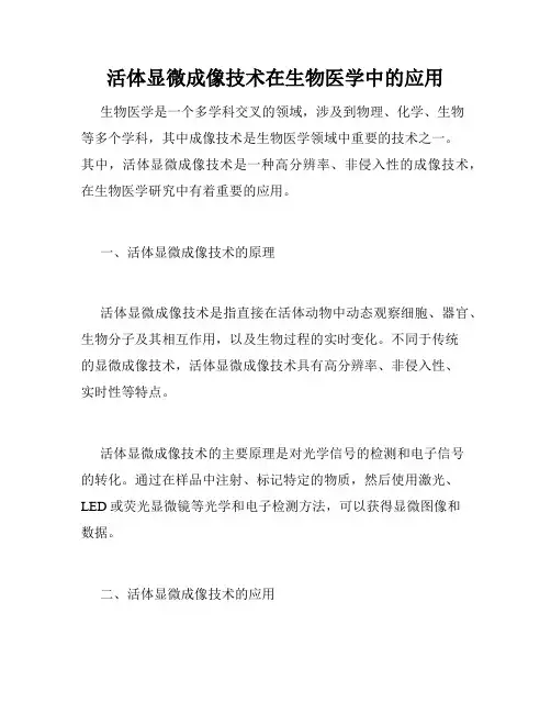 活体显微成像技术在生物医学中的应用
