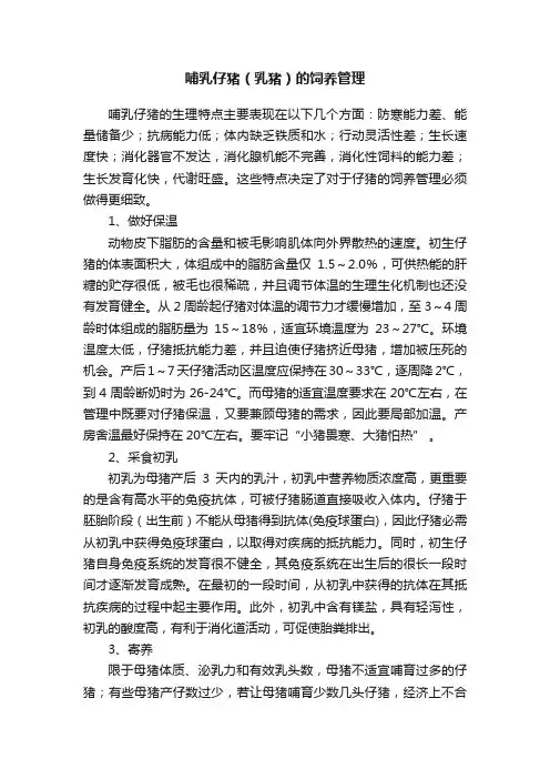 哺乳仔猪（乳猪）的饲养管理