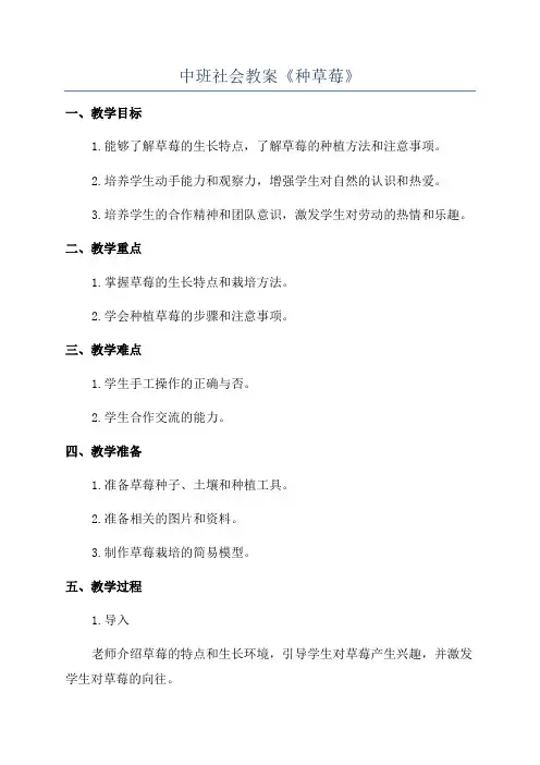 中班社会教案《种草莓》