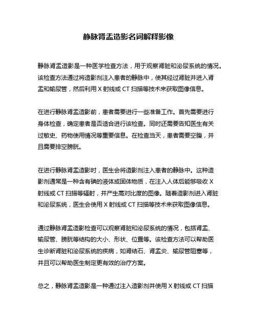 静脉肾盂造影名词解释影像