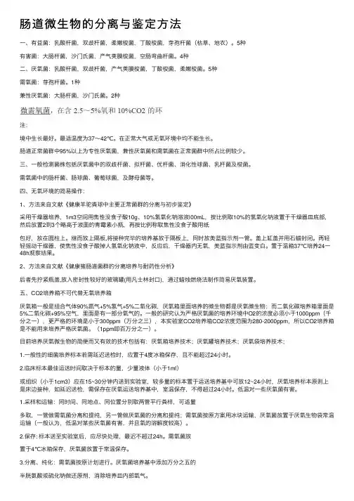 肠道微生物的分离与鉴定方法