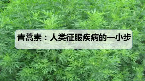 《青蒿素：人类征服疾病的一小步》优秀课件
