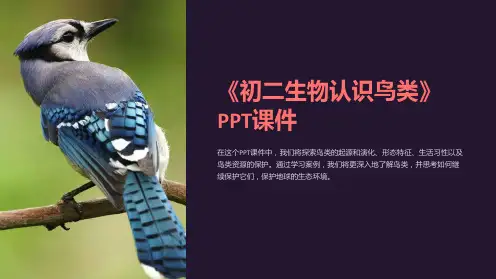 《初二生物认识鸟类》课件