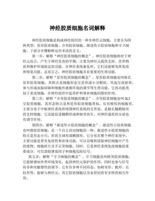 神经胶质细胞名词解释