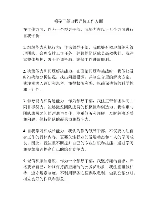 领导干部自我评价工作方面