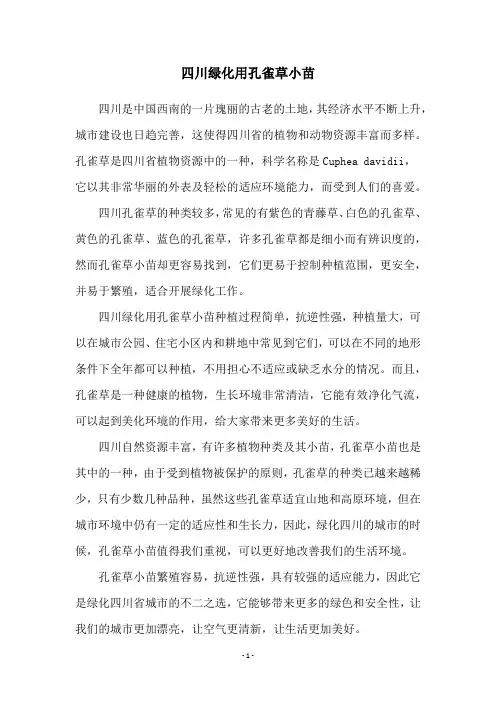 四川绿化用孔雀草小苗