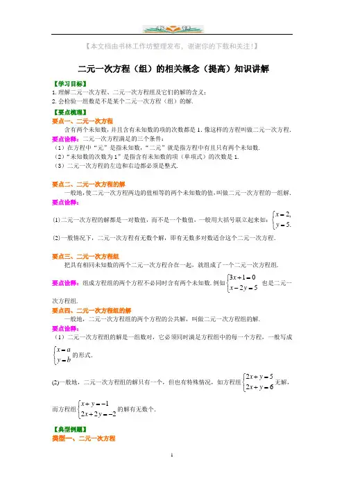人教版数学七年级下册第八章二元一次方程组知识点讲解(提高)