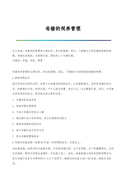 母猪的饲养管理