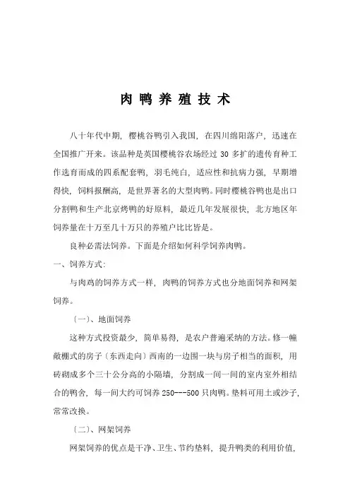 樱桃谷肉鸭养殖-