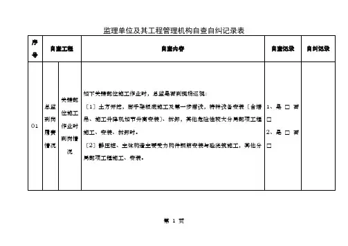 自查自纠记录表