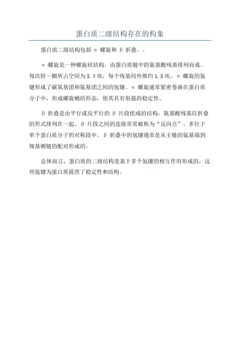 蛋白质二级结构存在的构象