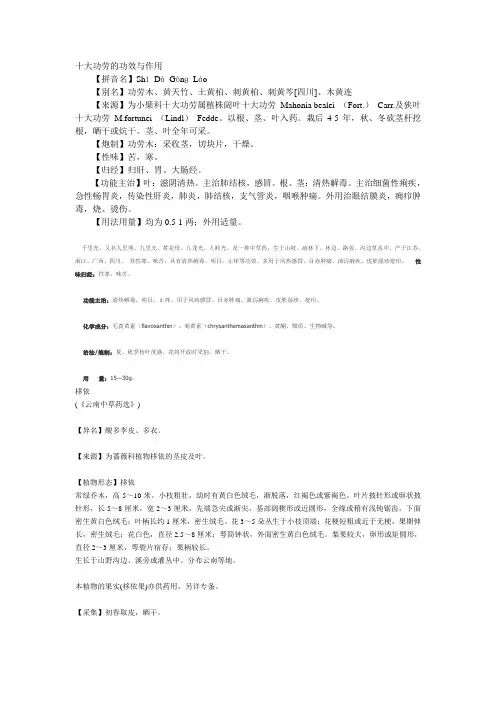 十大功劳的功效与作用.
