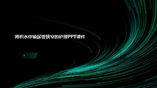肾积水伴输尿管狭窄的护理PPT课件