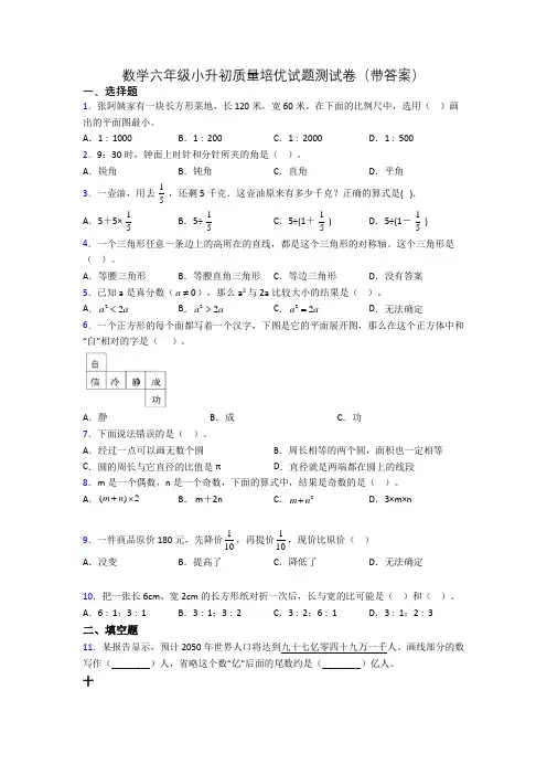 数学六年级小升初质量培优试题测试卷(带答案)