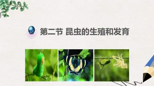 八年级生物下册7.1.2昆虫的生殖和发育课件1新版新人教版