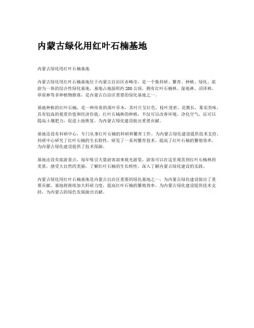 内蒙古绿化用红叶石楠基地