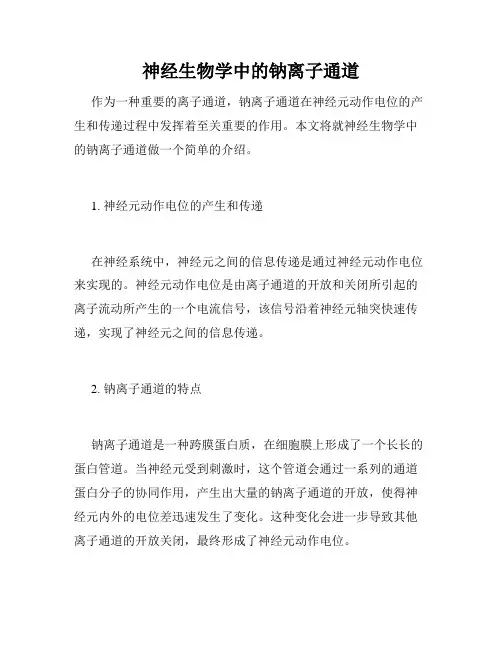 神经生物学中的钠离子通道