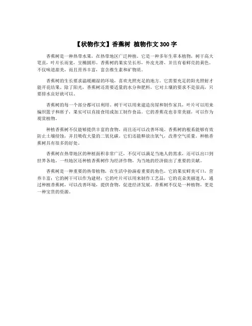 【状物作文】香蕉树 植物作文300字