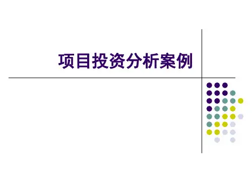 项目投资分析案例.ppt
