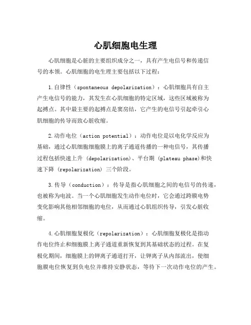 心肌细胞电生理