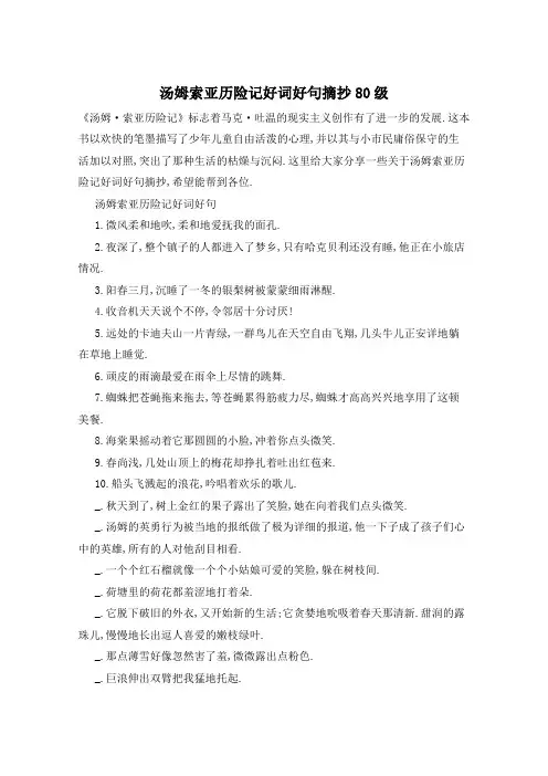 汤姆索亚历险记好词好句摘抄80级