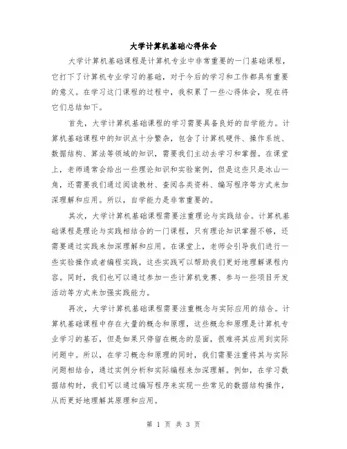 大学计算机基础心得体会