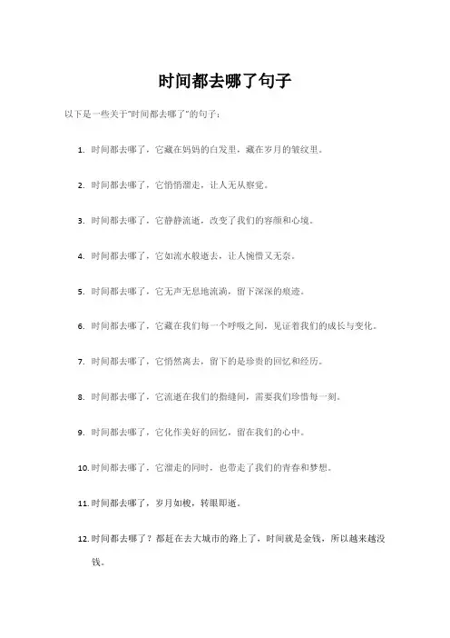 时间都去哪了句子