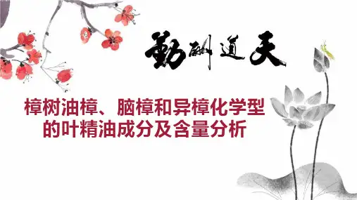 樟树油樟、脑樟和异樟化学型的叶精油成分及含量分析