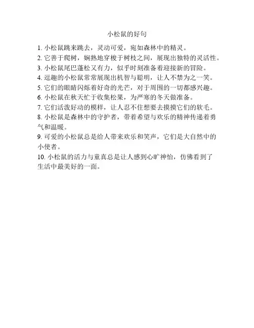 小松鼠的好句