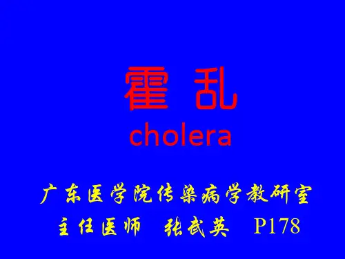 霍  乱 PPT课件