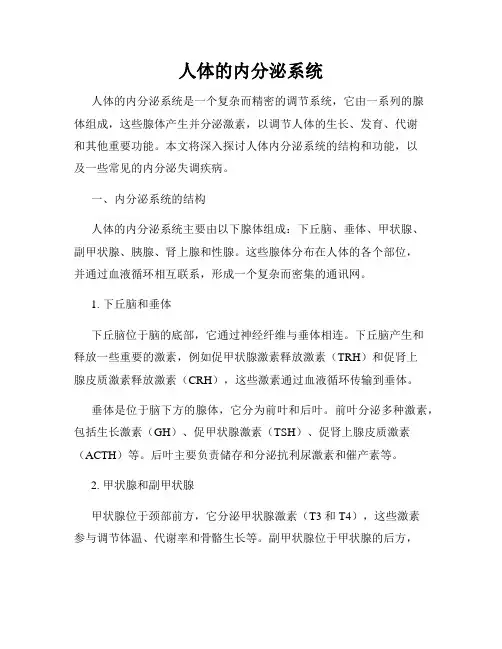 人体的内分泌系统