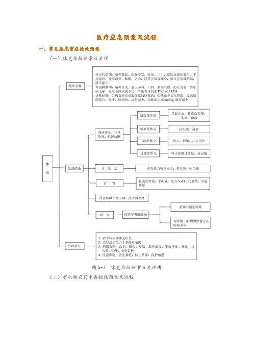 医疗应急预案及流程
