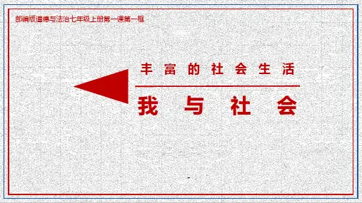 《我们与法律同行》PPT优秀课件