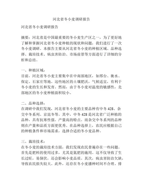 河北省冬小麦调研报告