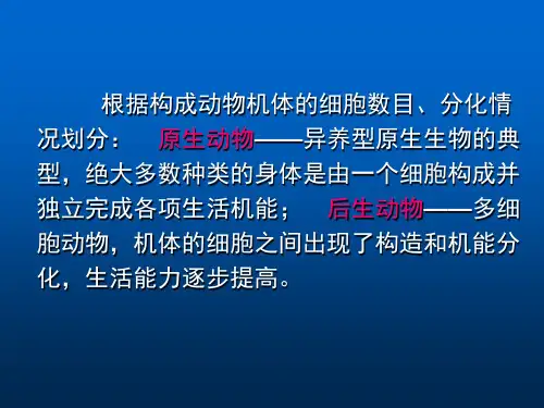第一节原生动物门