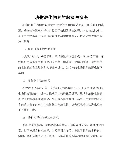 动物进化物种的起源与演变