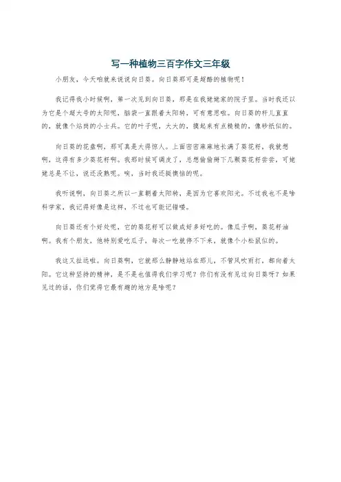 写一种植物三百字作文三年级