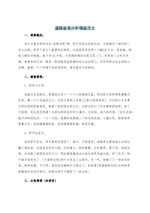 道路景观分析模板范文