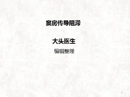 窦房传导阻滞介绍PPT课件