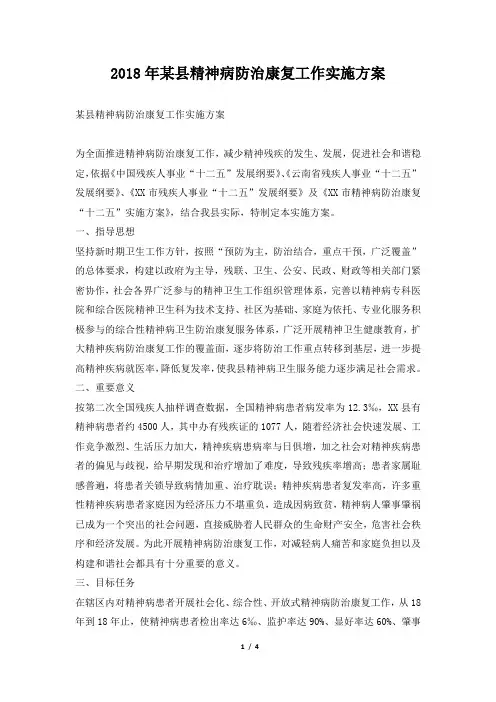 某县精神病防治康复工作实施方案