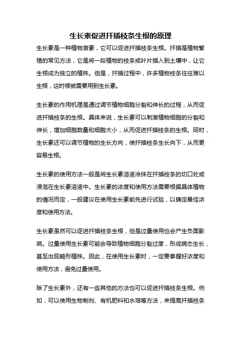 生长素促进扦插枝条生根的原理