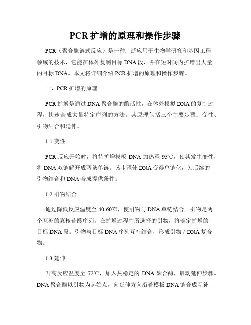 PCR扩增的原理和操作步骤