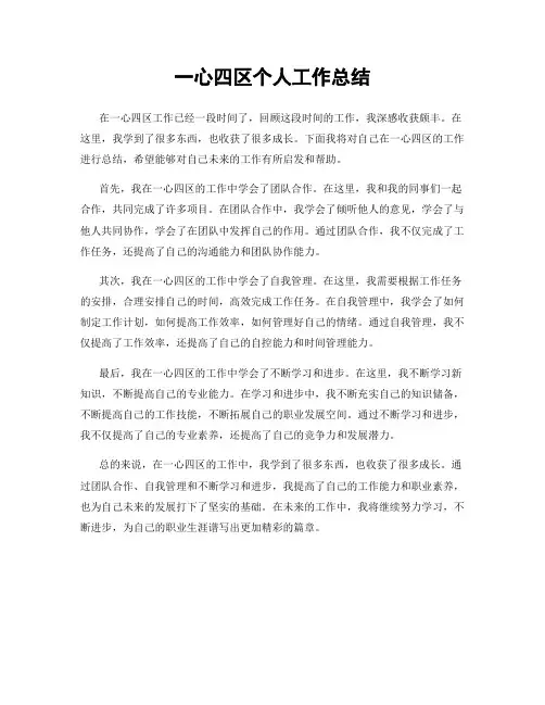 一心四区个人工作总结