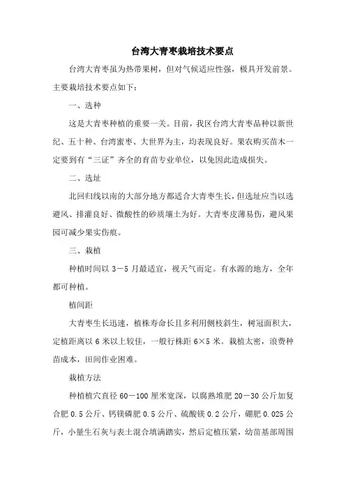 台湾大青枣栽培技术要点