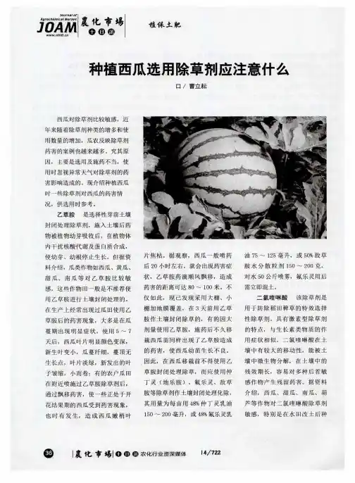 种植西瓜选用除草剂应注意什么