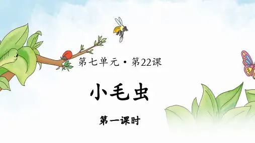 人教部编版二年级语文下册第22课《小毛虫》精品课件